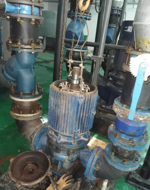 電機如何適應變頻起動新技術(shù)——西安泰富西瑪電機(西安西瑪電機集團股份有限公司)官方網(wǎng)站 電機如何適應變頻起動新技術(shù)——西安泰富西瑪電機(西安西瑪電機集團股份有限公司)官方網(wǎng)站